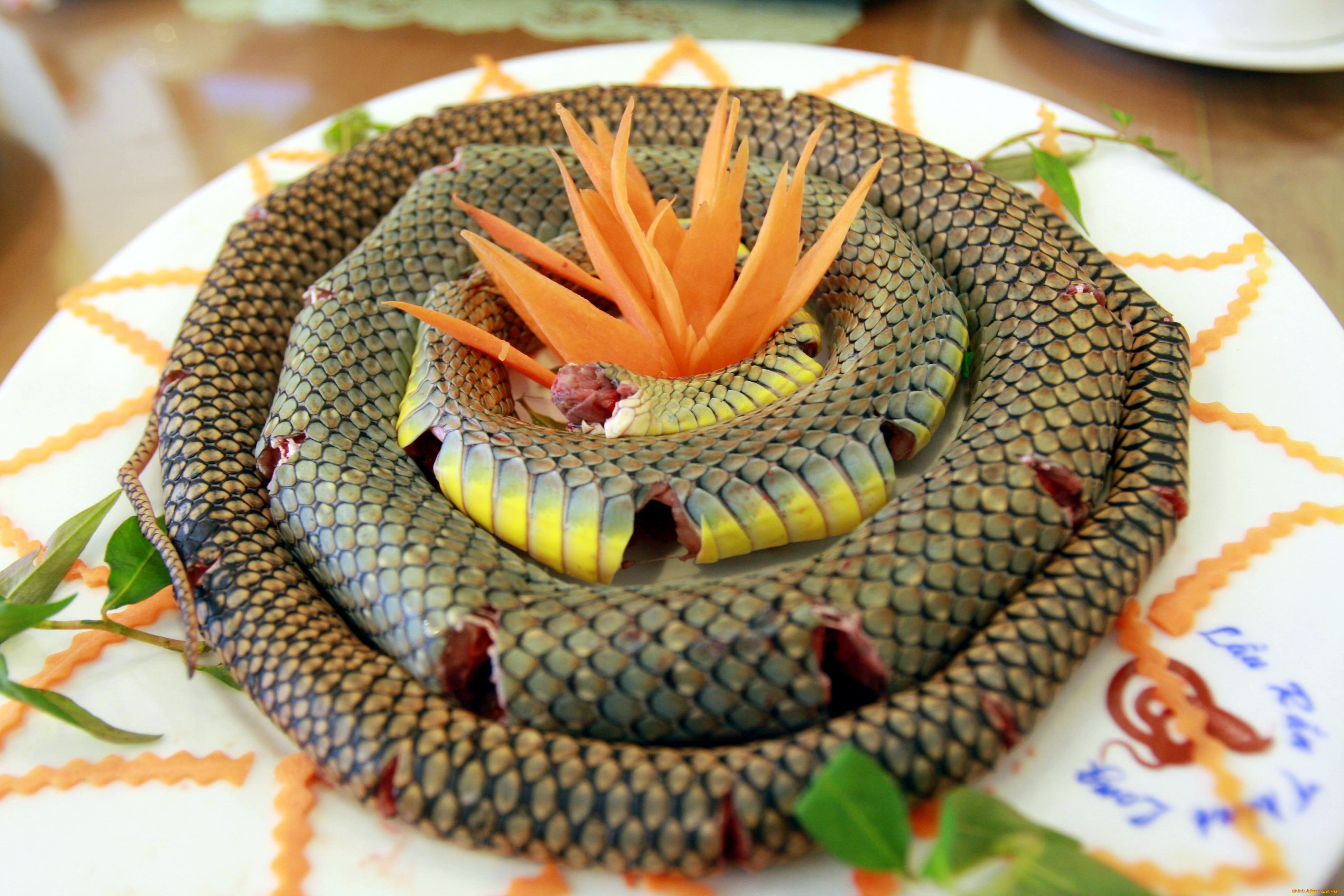 Змейка меню. Экзотические блюда. Блюдо из змеи. Необычные экзотические блюда.